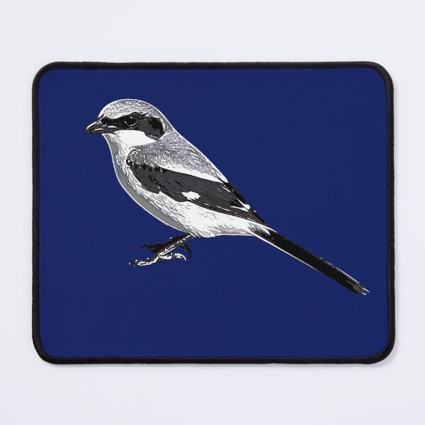 Item preview, Loggerhead Shrike White Alternate Design  designed and sold by designsasstultd.