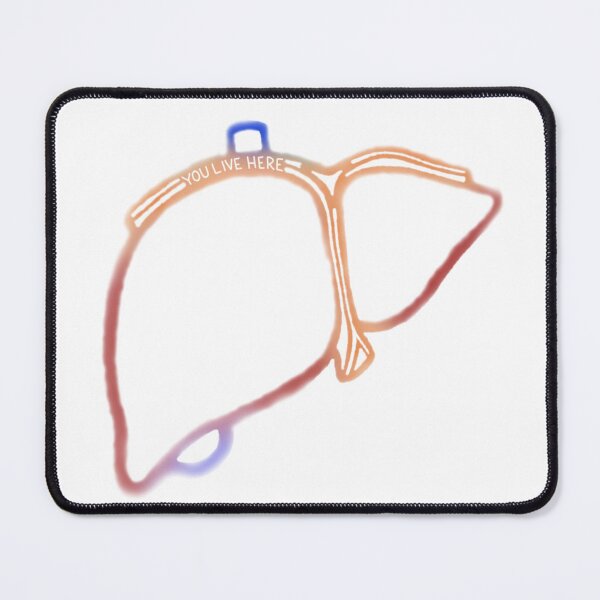 Item preview, Anatomically Correct Liver designed and sold by saberbaber.