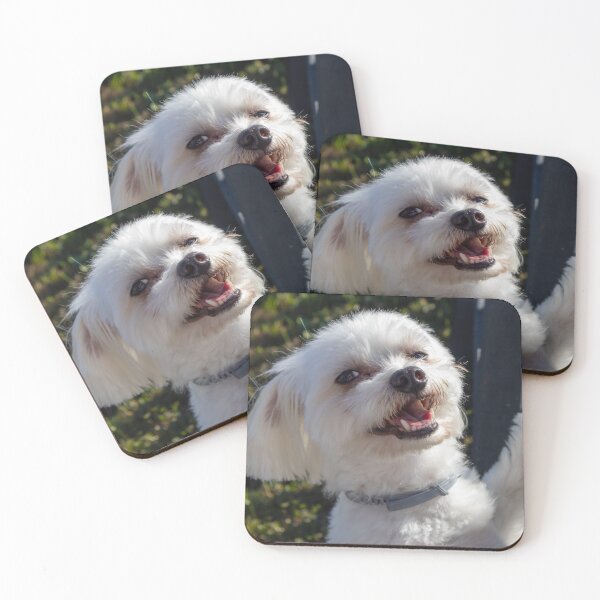 Item preview, Happy white dog in the garden designed and sold by Luka Šper.