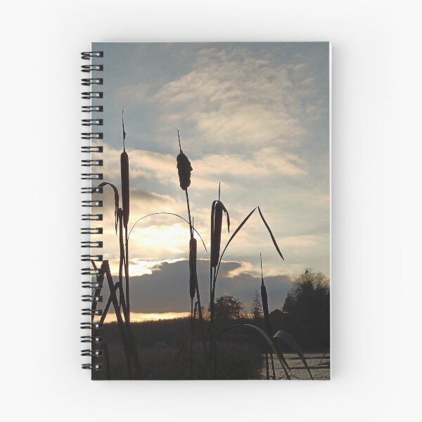 Item preview, Bulrush silhouettes  designed and sold by Oubaitory.