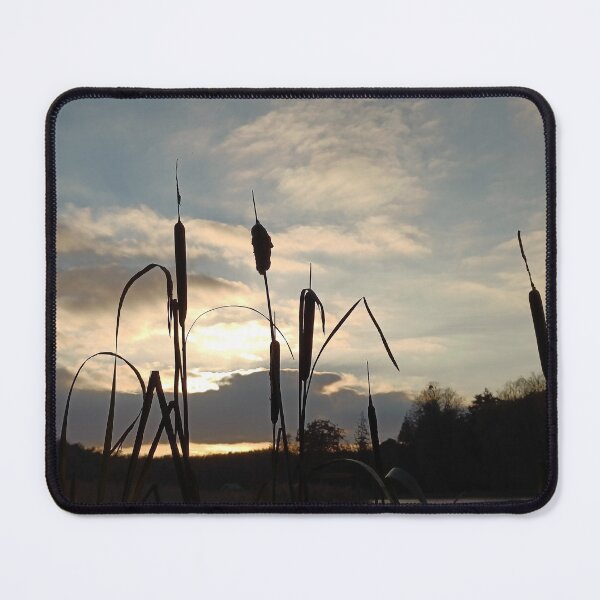 Item preview, Bulrush silhouettes designed and sold by Oubaitory.