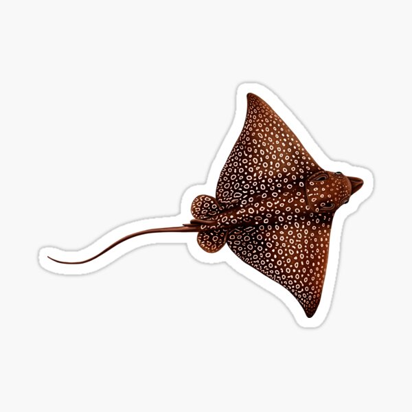 Item preview, Spotted eagle ray (Aetobatus narinari) designed and sold by InsightScuba.
