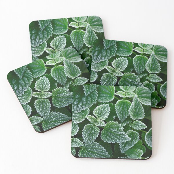 Item preview, Frozen leaves designed and sold by Catrinann.