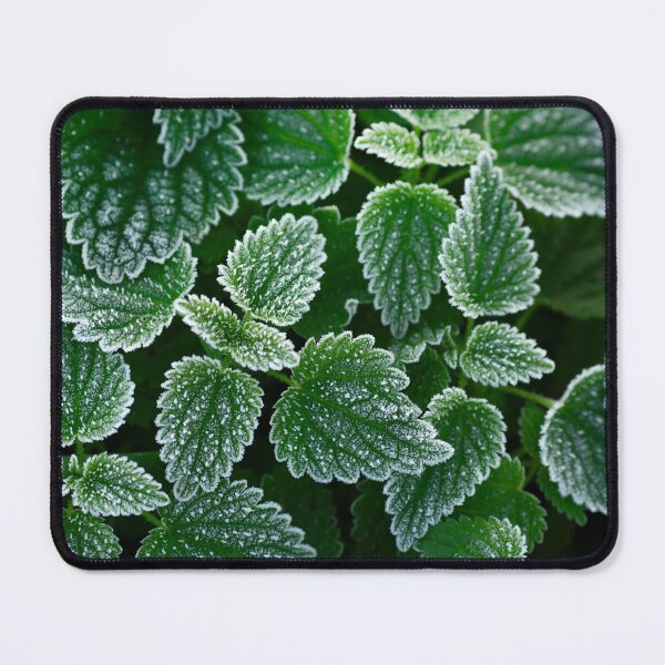 Item preview, Frozen leaves designed and sold by Catrinann.