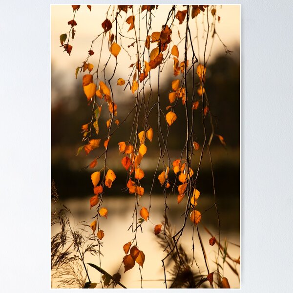 Item preview, Hojas de otoño designed and sold by Catrinann.
