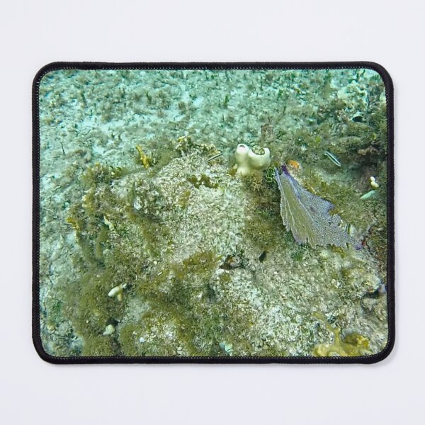 Item preview, dls coral designed and sold by pcfyi.