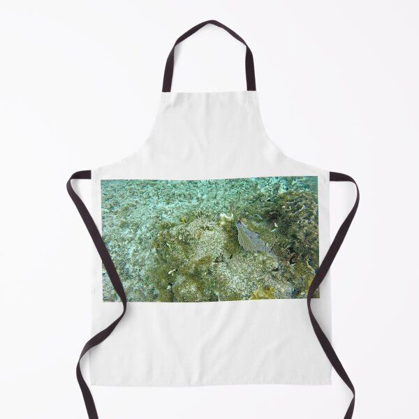 Item preview, dls coral designed and sold by pcfyi.