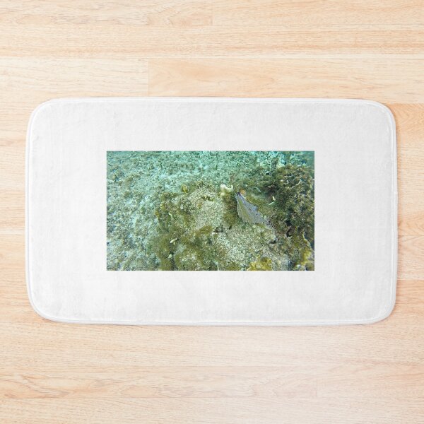 Item preview, dls coral designed and sold by pcfyi.