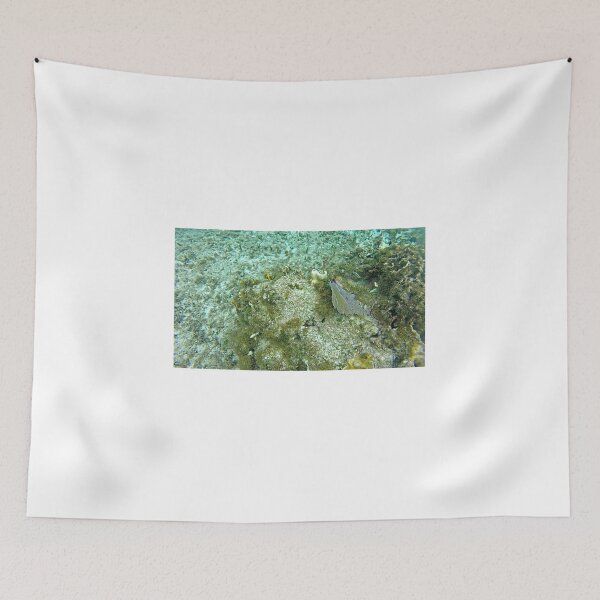 Item preview, dls coral designed and sold by pcfyi.