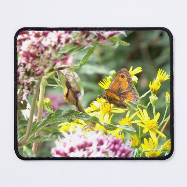 Item preview, Gatekeeper Butterfly designed and sold by pinkal.