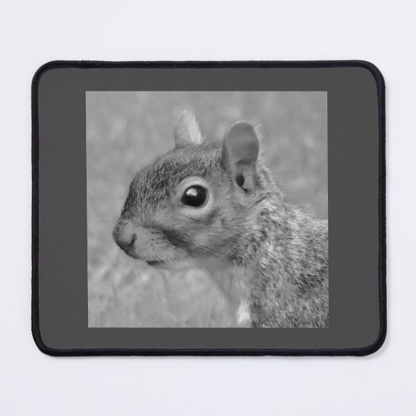 Item preview, Delightful Grey Squirrel designed and sold by Karen Thomson.