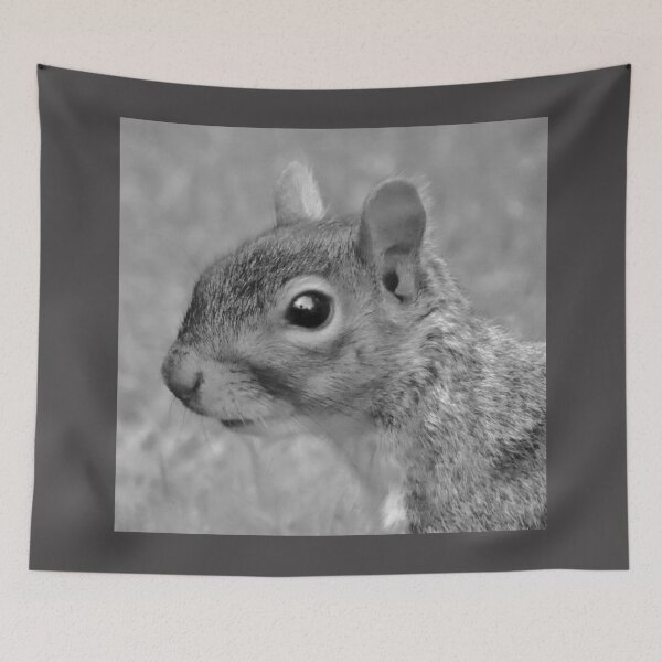 Item preview, Delightful Grey Squirrel designed and sold by Karen Thomson.