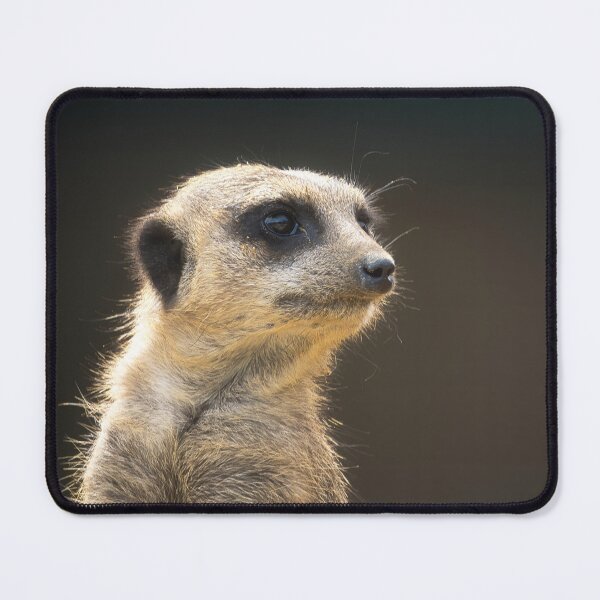 Item preview, Meerkat portrait 2 designed and sold by HelkoryoArt.