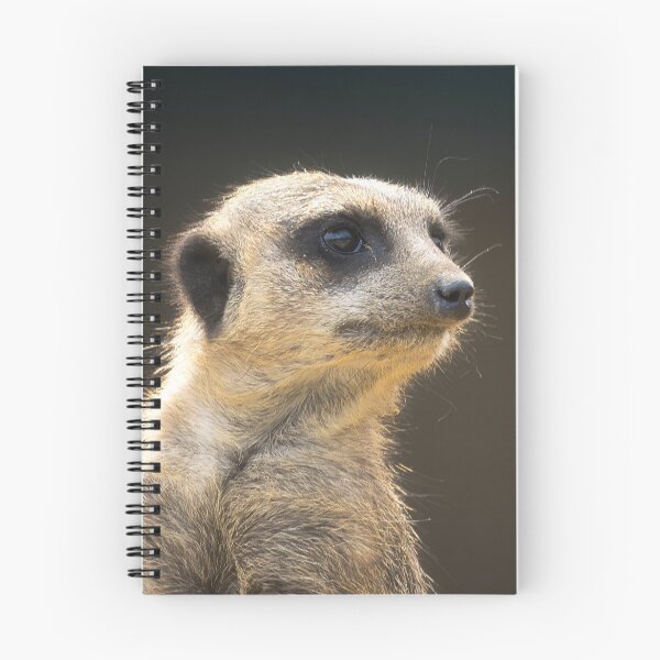 Item preview, Meerkat portrait 2 designed and sold by HelkoryoArt.