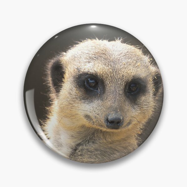 Item preview, Meerkat Portrait 3 designed and sold by HelkoryoArt.