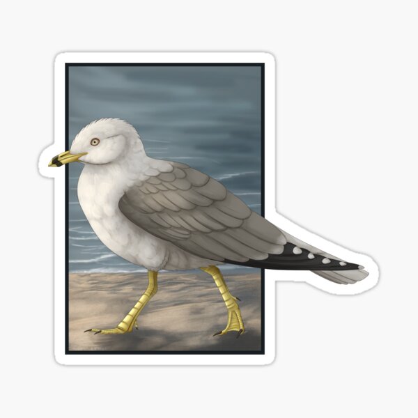 Item preview, Gull on the beach designed and sold by DragonArtist15.