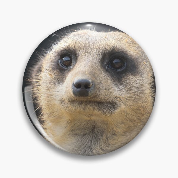 Item preview, Meerkat portrait 4 designed and sold by HelkoryoArt.