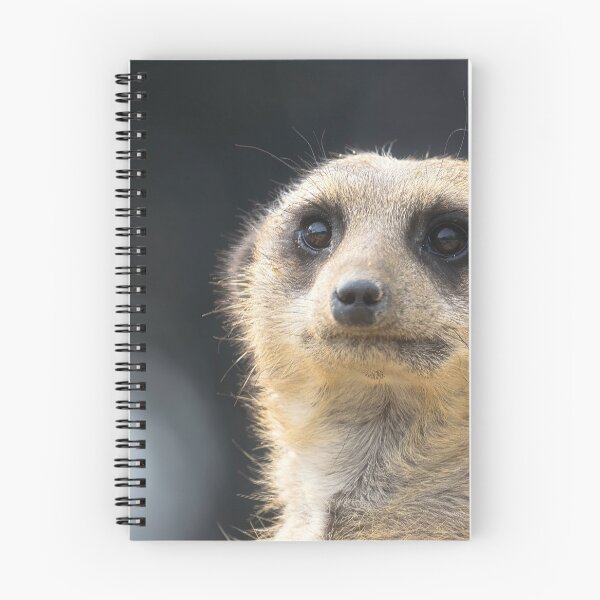 Item preview, Meerkat portrait 4 designed and sold by HelkoryoArt.