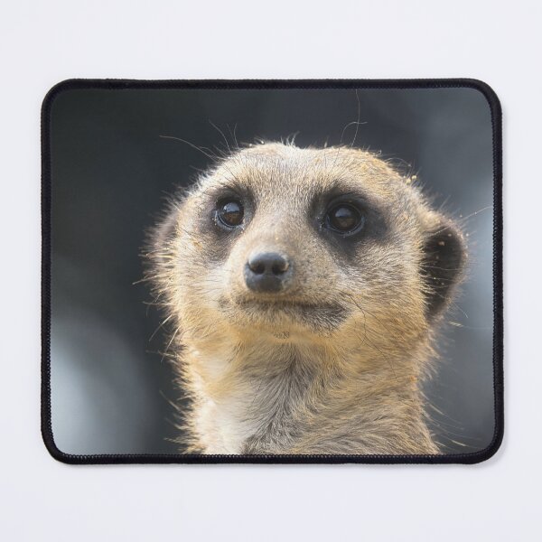 Item preview, Meerkat portrait 4 designed and sold by HelkoryoArt.