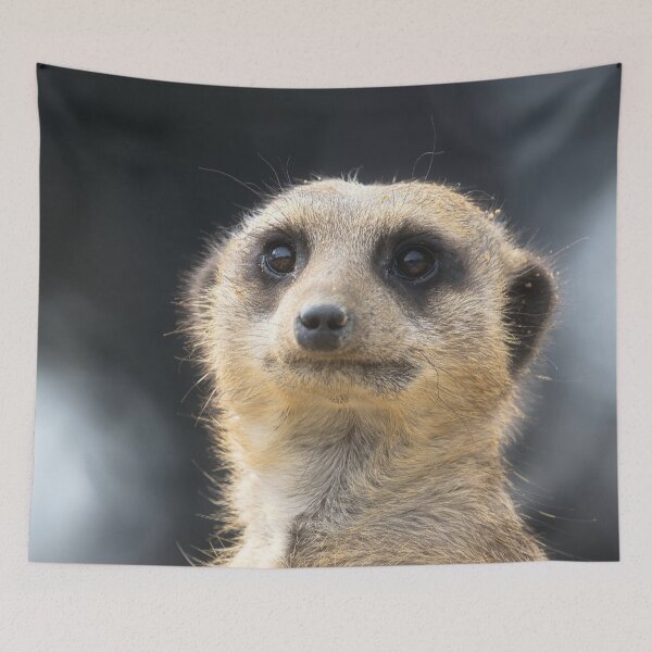 Item preview, Meerkat portrait 4 designed and sold by HelkoryoArt.
