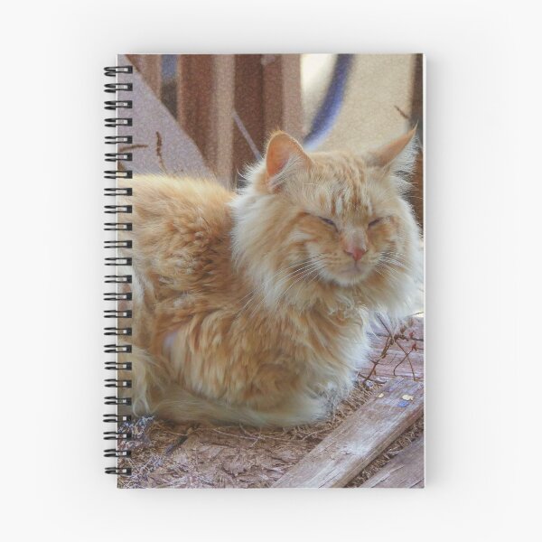 Item preview, Ginger George designed and sold by Frankie Cat Photography.