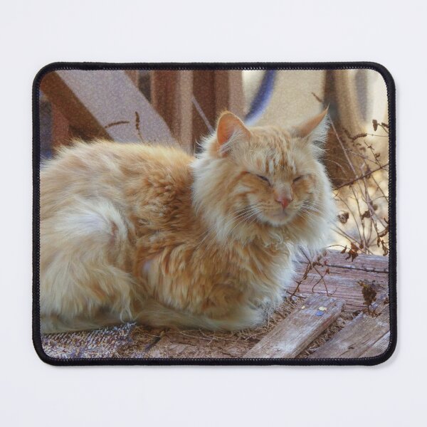 Item preview, Ginger George designed and sold by Frankie Cat Photography.