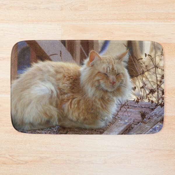 Item preview, Ginger George designed and sold by Frankie Cat Photography.