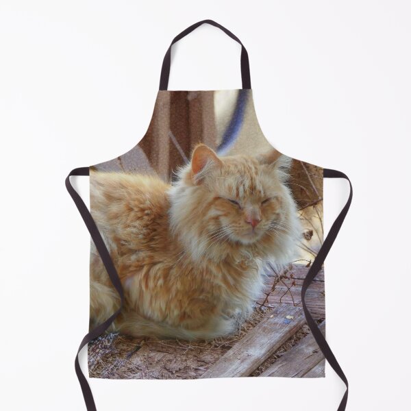 Item preview, Ginger George designed and sold by Frankie Cat Photography.