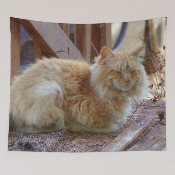 Item preview, Ginger George designed and sold by Frankie Cat Photography.