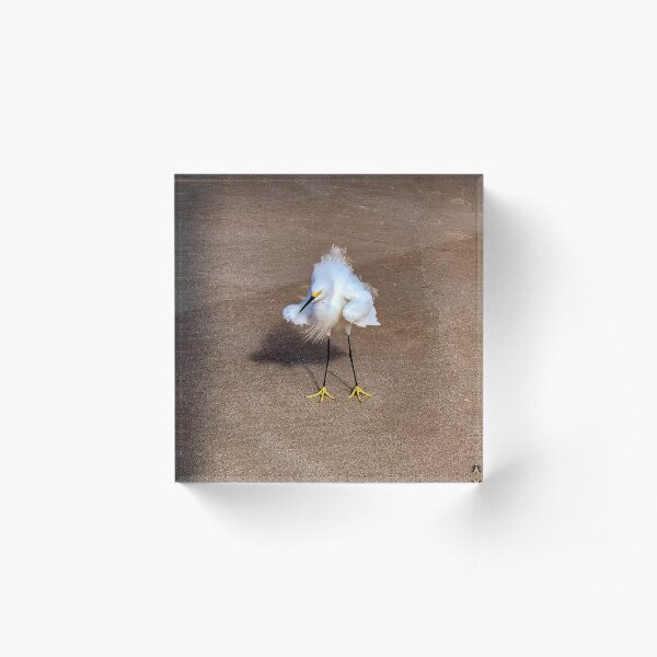 Item preview, White Heron at the beach designed and sold by EstelleCress.