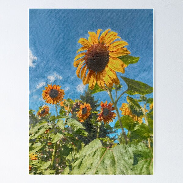 Item preview, Sunflower Field designed and sold by AK11art.