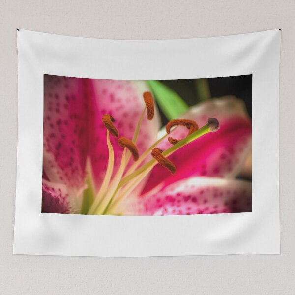 Item preview, Opened Up designed and sold by Danny Key.