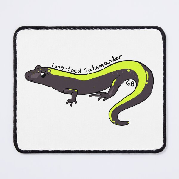 Item preview, Long-Toed Salamander designed and sold by Gabbie Byers.