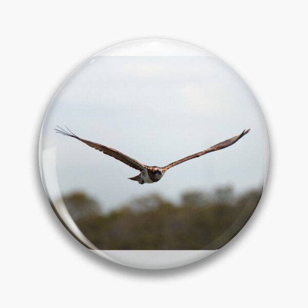 Item preview, Osprey in flight designed and sold by BirdsAlive.