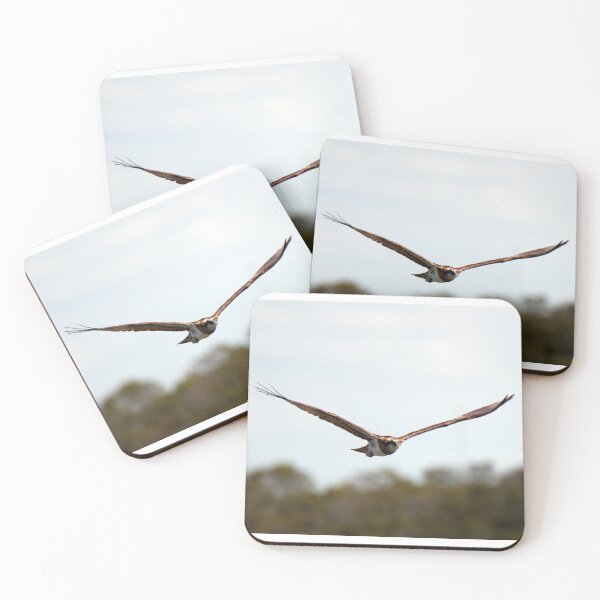 Item preview, Osprey in flight designed and sold by BirdsAlive.