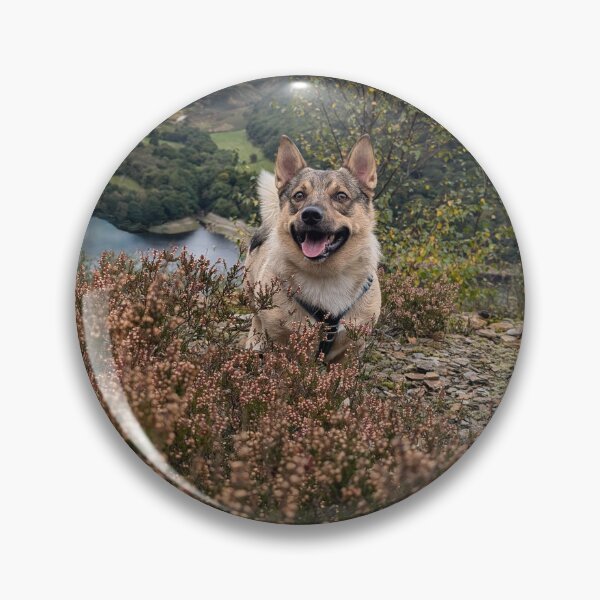 Item preview, Swedish Vallhund in heather designed and sold by TheVallhundStop.