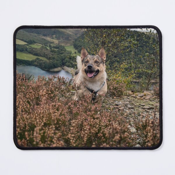 Item preview, Swedish Vallhund in heather designed and sold by TheVallhundStop.