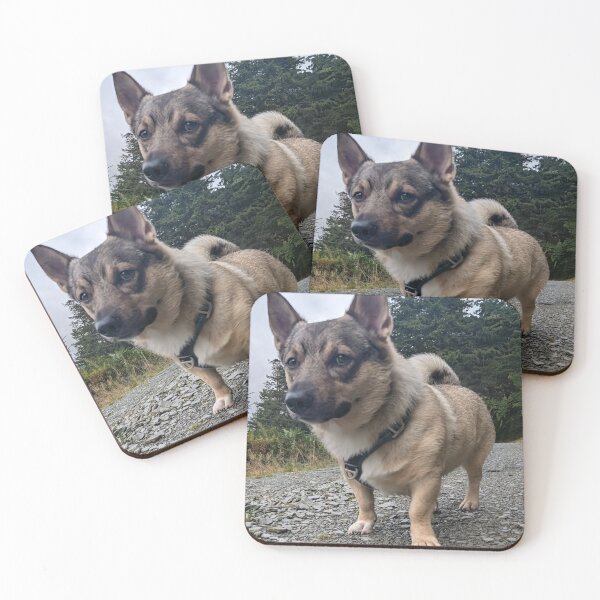 Artikelvorschau, Schwedischer Vallhund Hütehund entworfen und verkauft von TheVallhundStop.
