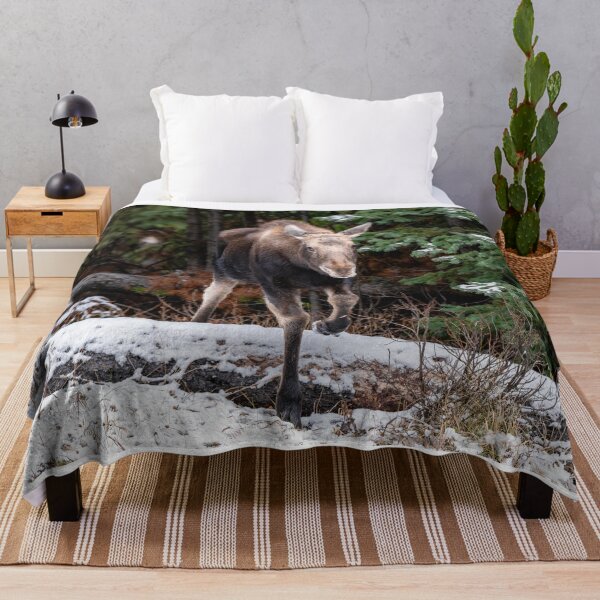 Item preview, Moose in Canada designed and sold by Kana Photography.