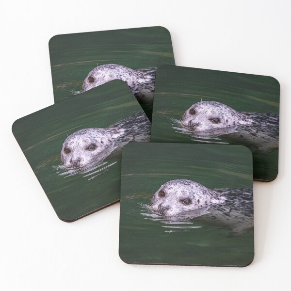 Item preview, Grey Seal in Canada designed and sold by Kana Photography.