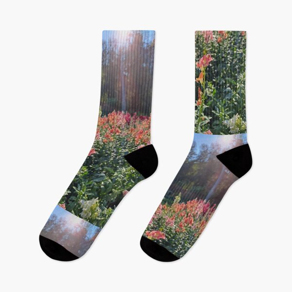 Item preview, Pink snapdragons field of pink and orange blooming pastel foral north american flowers designed and sold by Jacobs-Media.