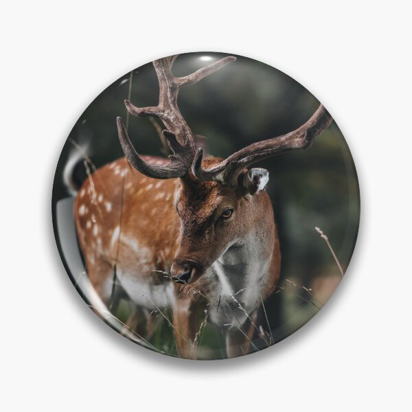 Item preview, Deer In The Woods designed and sold by EdgarInFocus.