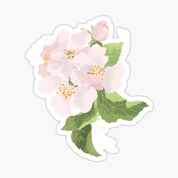 Apple Blossom Sticker