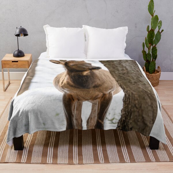 Item preview, Elk Calf in Canada designed and sold by Kana Photography.