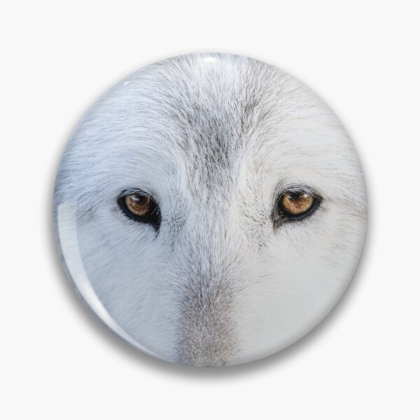 Item preview, Wolf in Canada designed and sold by Kana Photography.