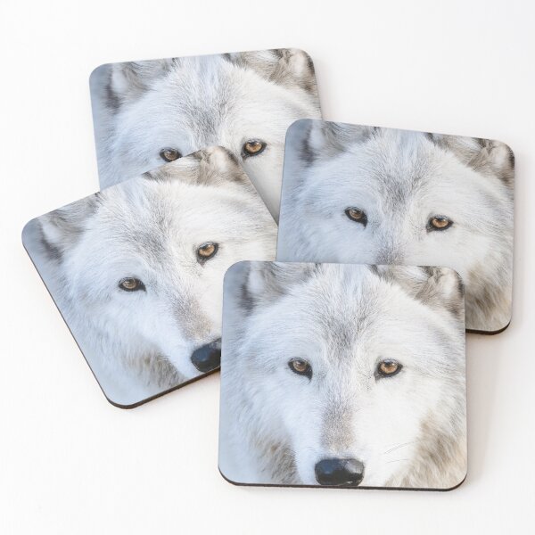 Item preview, Wolf in Canada designed and sold by Kana Photography.