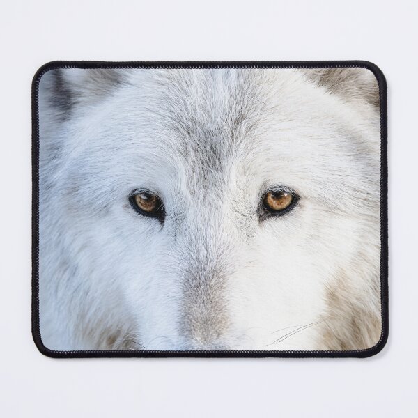 Item preview, Wolf in Canada designed and sold by Kana Photography.