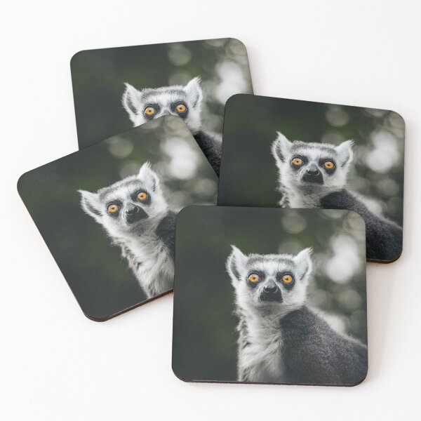 Item preview, What Is Your Next Step? designed and sold by EdgarInFocus.