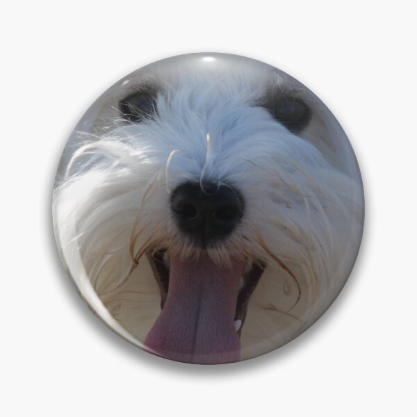 Artikelvorschau, Riley der Mini-Schnauzer entworfen und verkauft von nancyjcreates.