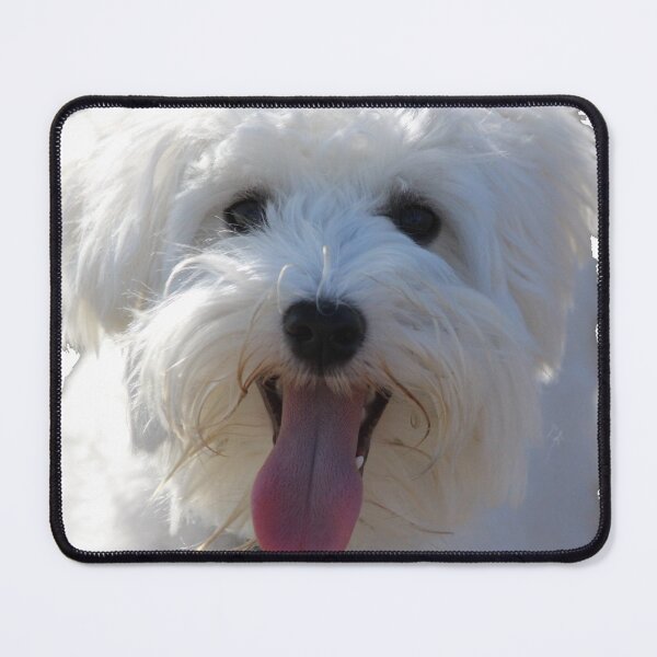 Item preview, Riley the Mini Schnauzer designed and sold by nancyjcreates.